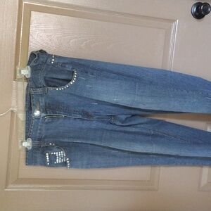 Plus Size Jeans by ASHLEY STEWART